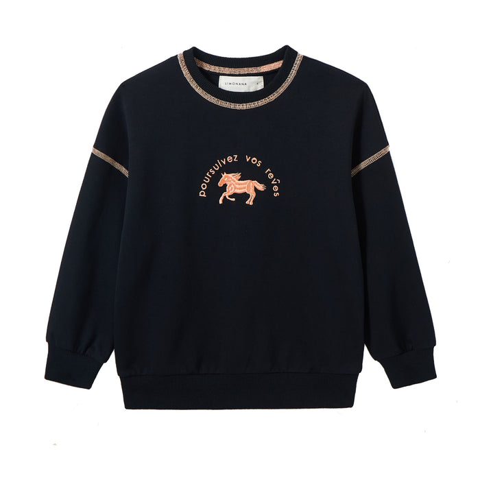 Carousel Boys Sweatshirt